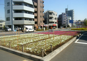 国道沿いの花壇