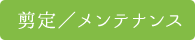 剪定 メンテナンス