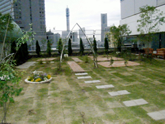 屋上緑化のメリット
